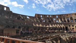 Colosseum in Rome Italy - View from Ground Level Platform - Underground Tour