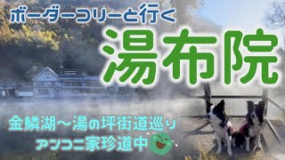 【犬と旅行】湯布院珍道中☆金鱗湖〜湯の坪街道を巡り食べ歩き＆ウィンドショッピング！犬連れで行くなら今がチャンス！2021年12月の話ですけど(^^;