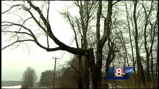 CMP institutes tree trimming program to avoid outages