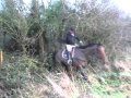 Suir Vale Harriers Hunt Rahaelty Jan 2016