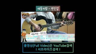 새들처럼 - 변진섭｛Like birds｝[Guitar CoveR] 기타연주 가즈아!^0^ #Shorts