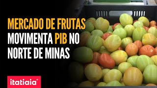 CONHEÇA OS IMPACTOS DA PRODUÇÃO DE FRUTAS NA ECONOMIA DE MINAS GERAIS