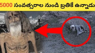 అశ్వద్ధామ చేసిన తప్పు ఏమిటి  క్రిష్ణుడు ఎందుకని అశ్వద్ధామ నీ శపించాడు || Ashwathama mystery