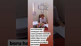 Boru hamiləliyi