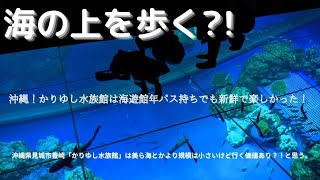 豪雨の沖縄を楽しむ‼　DMMかりゆし水族館は海遊館年パス持ちの水族館好きも大満足‼