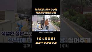 訓犬師遇上玻璃心小狗，剛拽繩子就撒嬌求饒，扒著肩膀不讓人走#shorts