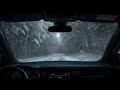 cold snow storm u0026 blizzard sounds for sleeping in the car┇winter storm ambience u0026 blowing snow