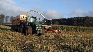 Majshøst på Landbruget Nygaard i Trustrup, Danmark. 14.-18. oktober 2013 - Corn Harvest!