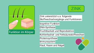 Zink – Mineralstoff mit wichtigen Funktionen im Stoffwechsel | Wofür, wieviel und woher?