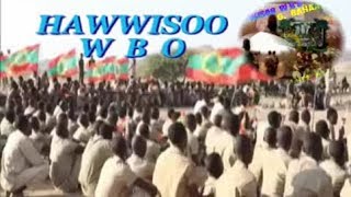 HAWWISOO WBO G  BAHAA* P1 1980s* OLD OROMO CASE