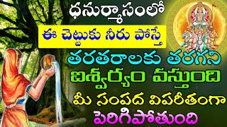 ధనుర్మాసంలో ఈ చెట్టుకు నీరు పోస్తే తరతరాలకు తరగని ఐశ్వర్యం వస్తుంది