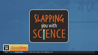 Slap You with Science - 9/11