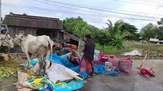 ស្ថានភាពទឹកនៅខេត្តបាត់ដំបងតាមផ្លូវជាតិលេខ៥ ថ្ងៃទី១៦ខែតុលាឆ្នាំ២០២០