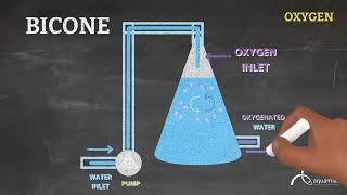 Choosing an oxygenation equipmet 2/2 | skill-LAB | aquamiks