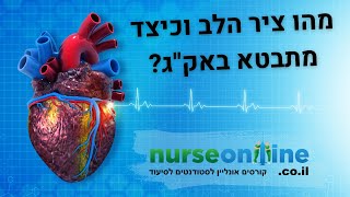 קטע מתוך קורס פענוח אקג - מהו ציר הלב? כיצד מחשבים אותו?