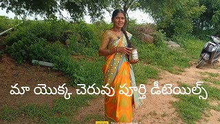 మా యొక్క చెరువు పూర్తి డీటెయిల్స్ తెలుసుకోండి #telangana #koramenu# fish farming