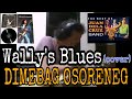 WALLY'S BLUES (cover) - Dimebag Osoreneg