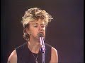 the stray cats little miss prissy • toppop