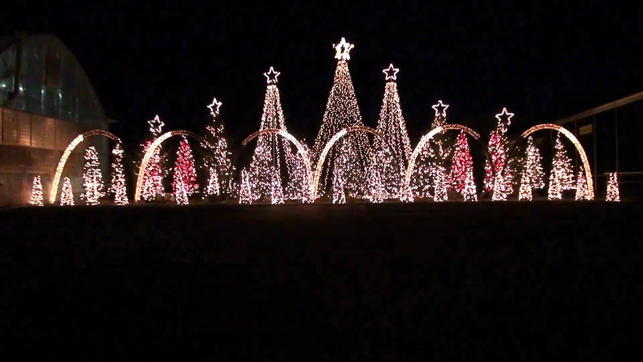 Amazing Grace Holdman Christmas Lights 14 Incredible Holiday Light