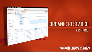 SEMrush Organic Research Positions Report
