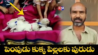 Viral Video : సుల్తానాబాద్ లో పెంపుడు కుక్క పిల్లలకు పురుడు చేసిన కుటుంబం.. || CMTV