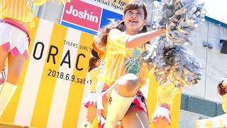 [4K] Tigers Girls チアリーダー 阪神タイガース ラッキー \u0026 キー太 ダンスステージ