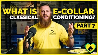 Ecollar Classical Conditioning | It's Not What You Think!