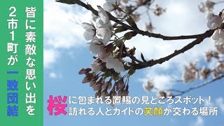 桜の下で華麗な舞を披露~ 置賜さくら回廊「花咲きイベント」~（H30.4.13)