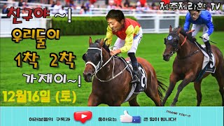 제주제라한 12월16일 (토요)   LIVE  경마방송