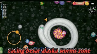 cacing besar alaska worms zone
