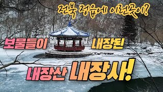 겨울 전북 여행 꼭 가봐야 할 보물들이 내장된 내장산 내장사를 아시나요? 전북정읍에 이런곳이? 사찰여행, 사찰기행, 국내여행, 전북 가볼만한곳