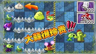 PvZ：厨师杓兰成『内鬼植物』？鱼钩草：我才是 ！【豆姐说游戏】