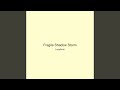 Fragile Shadow Storm