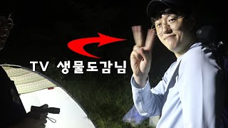 사슴벌레 등화채집 \u0026 수액채집! with 30만 유튜버 'TV 생물도감'님 [충우곤충박물관]