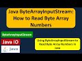 Java ByteArrayInputStream: How to Read Byte Array Numbers | Java IO | Java Tutorial