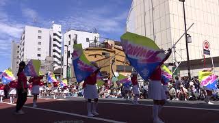 オープニング　パーレド　田原小学校　田原町バンド　フラッグ隊　 Asakusa Samba Carnival 2018 浅草サンバカーニバル 桑巴舞　삼바 댄스