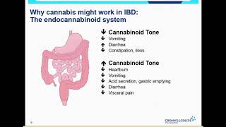Medical Cannabis in IBD (Part 1)