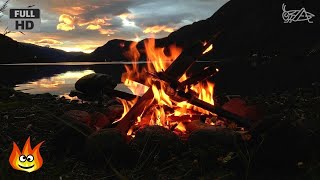 4K Campfire by the Sea   Crickets & Ocean Waves   Night Forest Nature Sounds   Relaxing Fireplace