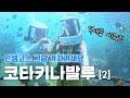 코타키나발루 4박 6일 인생코스 [2화] | 부부여행, 일정공유, 맛집, 호핑투어, 씨워킹,마무틱섬,시티투어