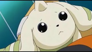 Digimon Tamers- Henry’s Digivice and Meets Terriermon (Eng Sub and Dub)