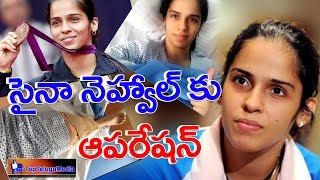 #Saina Nehwal Two-Weeks Rest After Injury | సైనా నెహ్వాల్ కి ఆపరేషన్ | #TopTeluguMedia