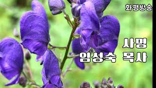 화평방송 - 찬양 \