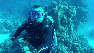 NURKOWANIE EGIPT 2021 / RED SEA DIVING SAFAGA