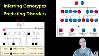 Biology:  Pedigrees