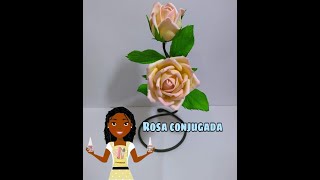 Rosa conjugado com Frisador