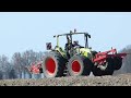 **hauke hinrichs**kohlpflanzen 2013 cabbage 2013 germany