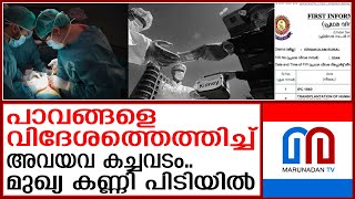 അവയവ മാഫിയ സംഘത്തിലെ മുഖ്യകണ്ണി പിടിയിൽ |  Organ trafficking