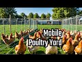 Mobile Poultry Yard Electro Netting on Skids