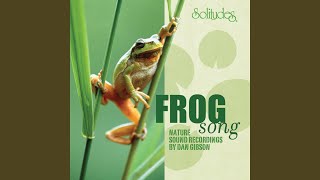 Western Chorus Frog, Spring Peeper, Wood Frog