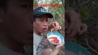 ហូបផ្លែស្រឡិត(ឡៃហៀង)